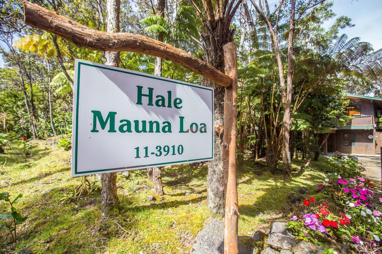 Hale Mauna Loa Upper Level With Shared Hot Tub Volcano Ngoại thất bức ảnh