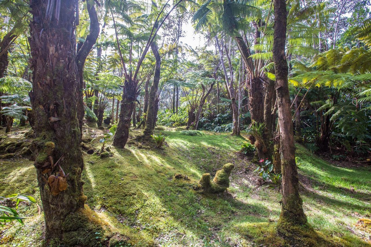 Hale Mauna Loa Upper Level With Shared Hot Tub Volcano Ngoại thất bức ảnh